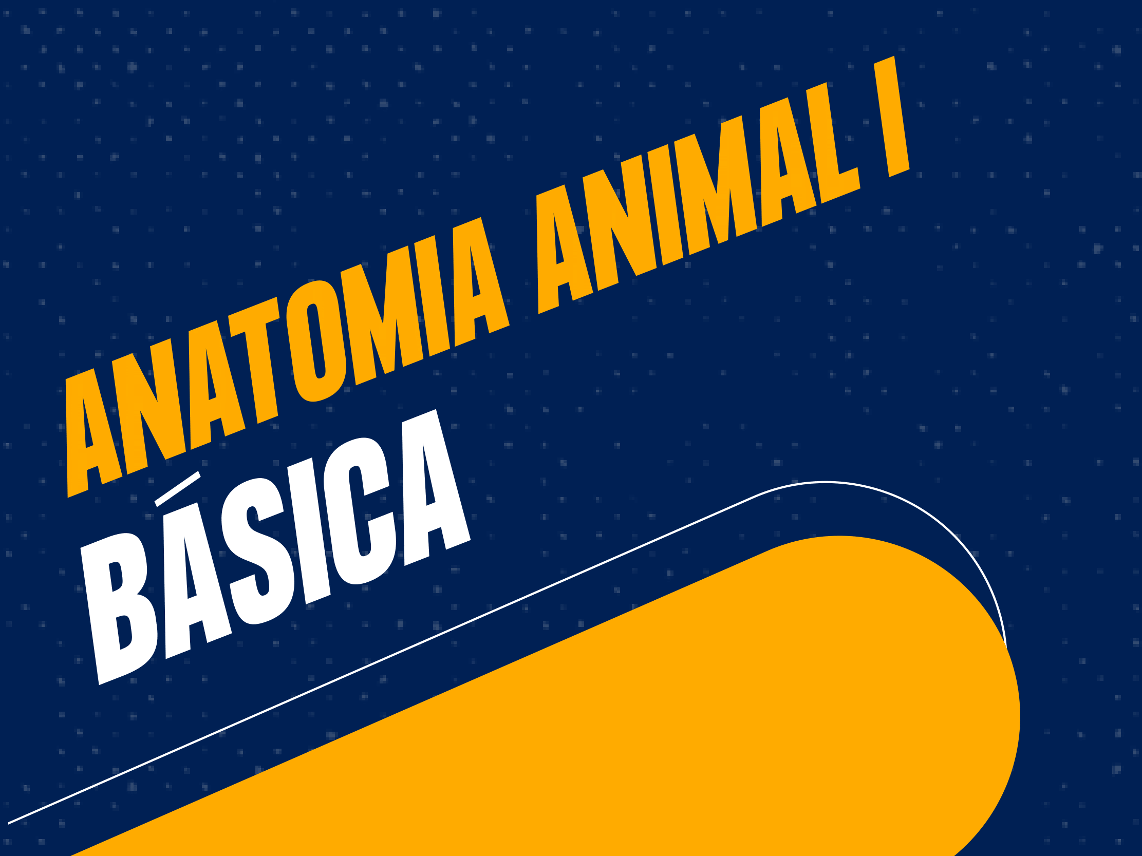 Anatomia Animal I Básica