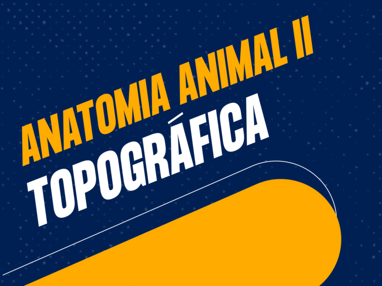 Anatomia Animal II Topográfica