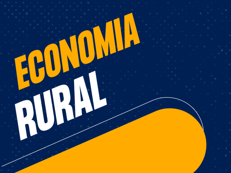 Economia Rural