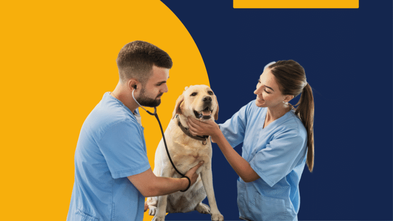 Virose dos Animais Domesticos
